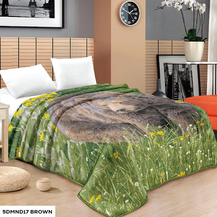 5 DIAMOND 2 PLY NEW ANIMAL DESIGN RACHELLE BLANKET - (Assorted Case Pack 10 Blanket's Per Case 2 Per Design)