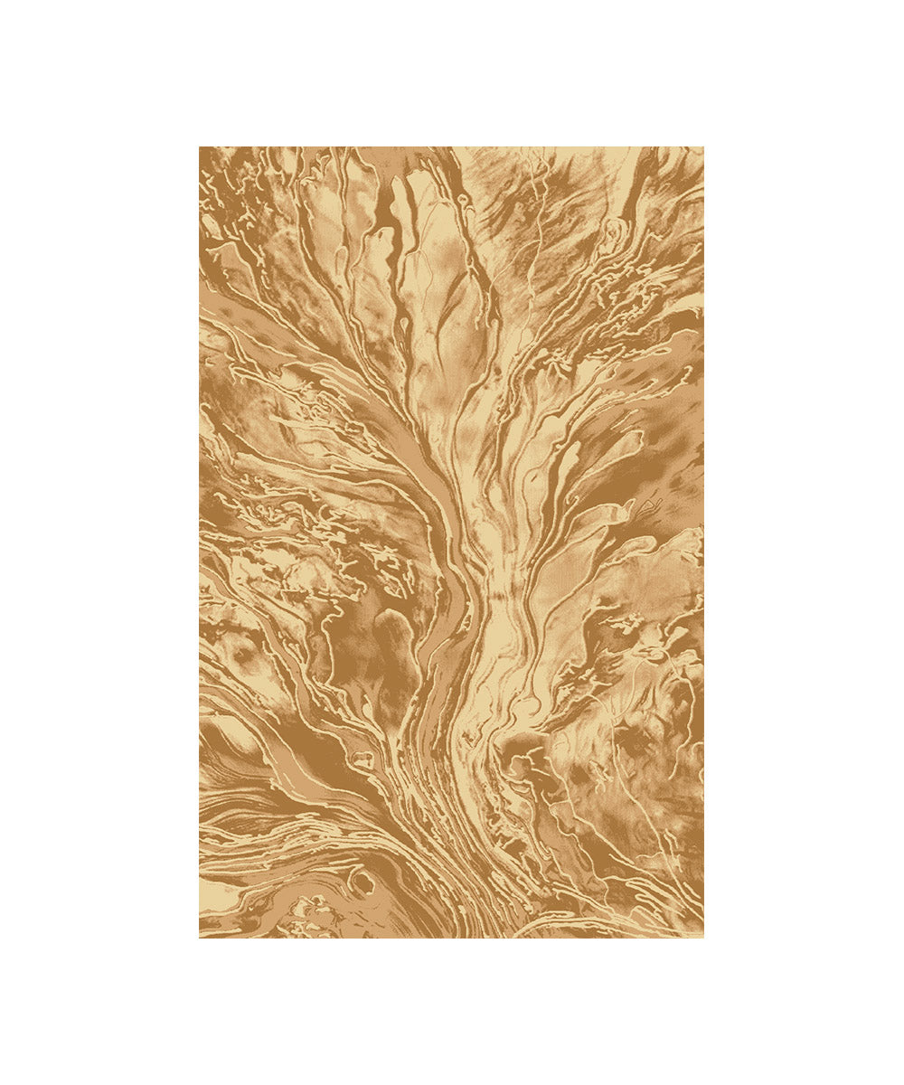 DEIR DEBWAN 627 - AREA RUG COLLECTION