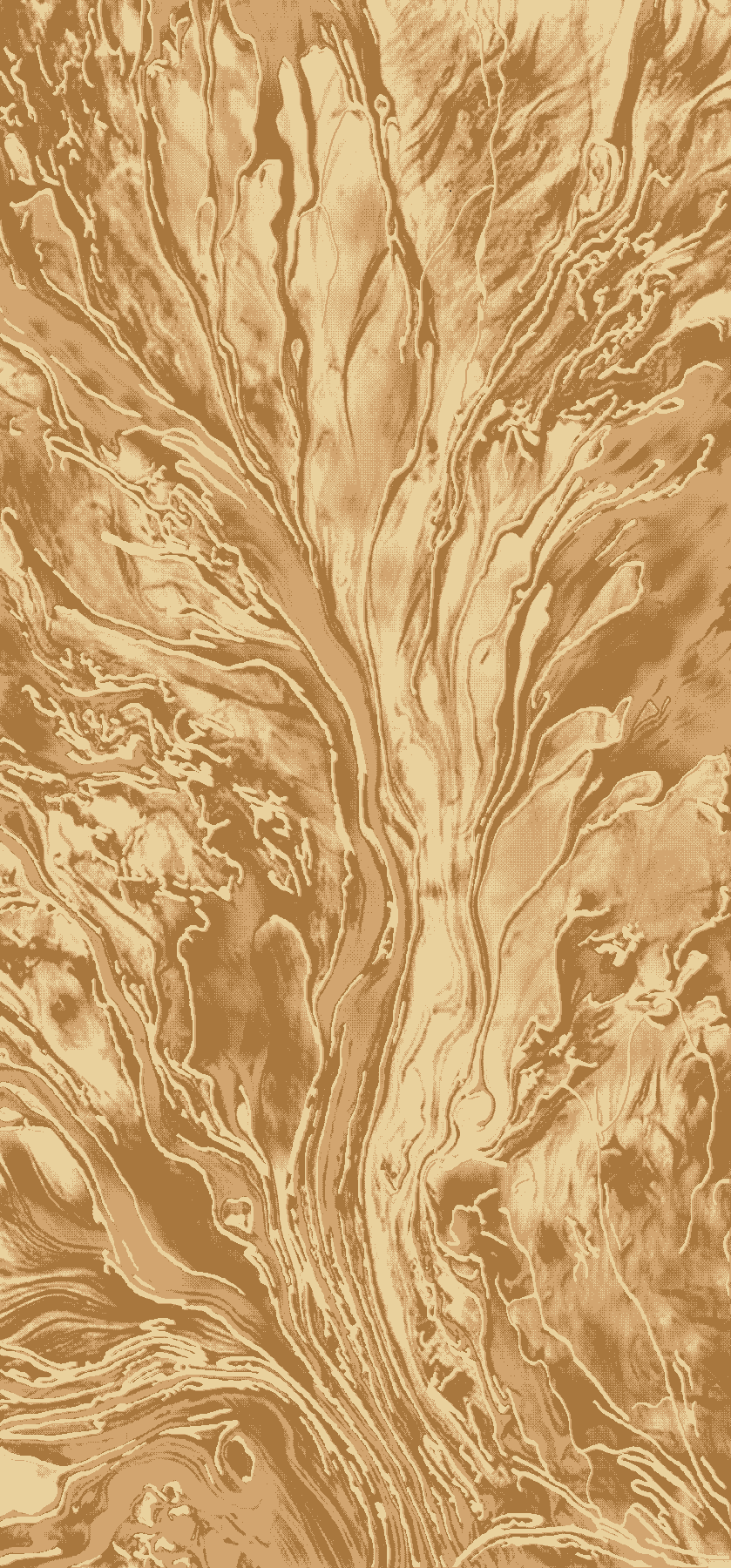 627 Deir Debwan Area Rug (New Arrival)