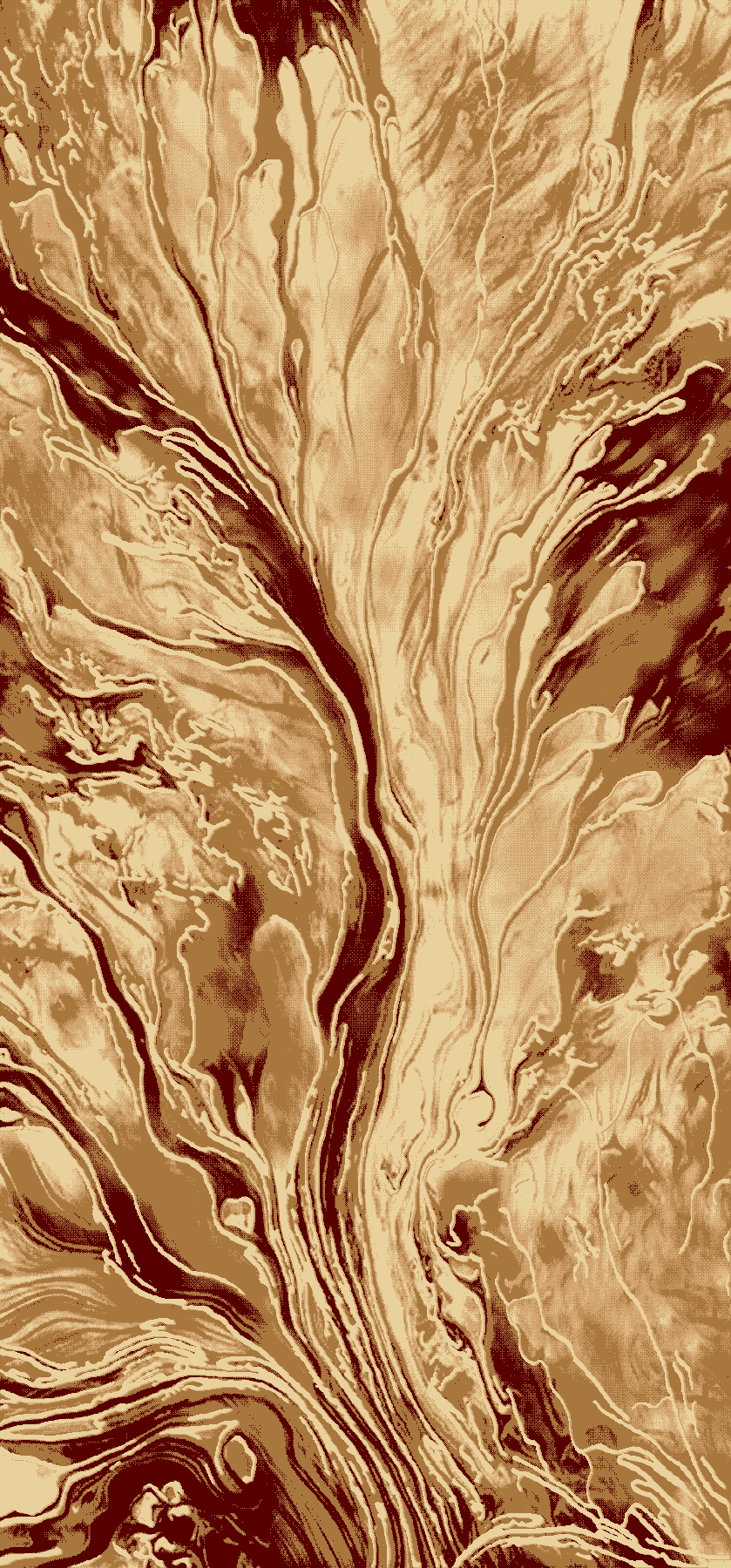 627 Deir Debwan Area Rug (New Arrival)