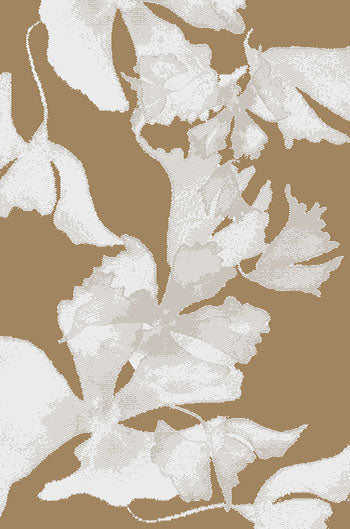 CT-5008 Contempo Area Rug