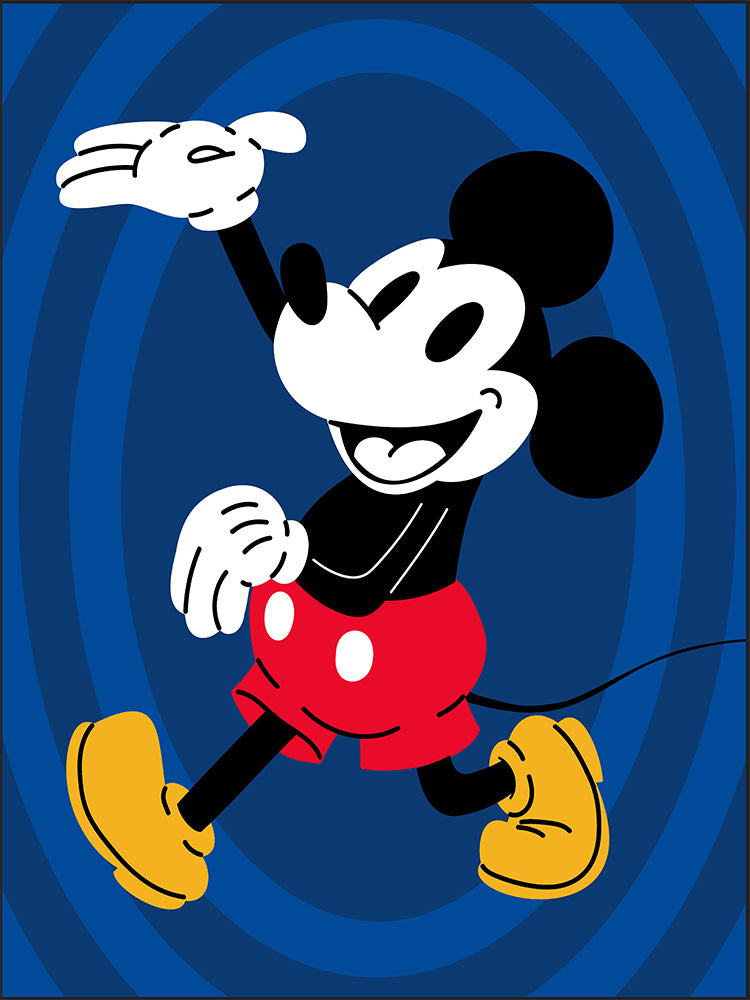"Hal iyo Keliya" Mickey Twin Rachelle Blanket
