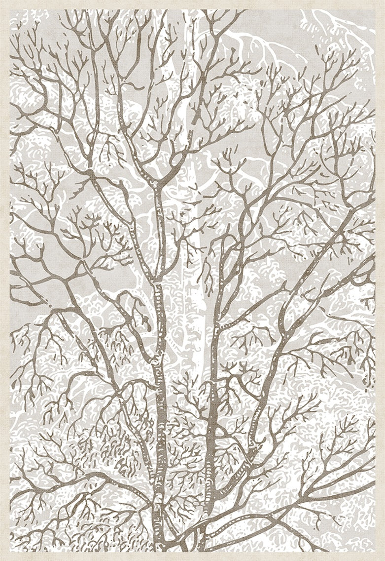 FC-09 - NIMBUS TREE