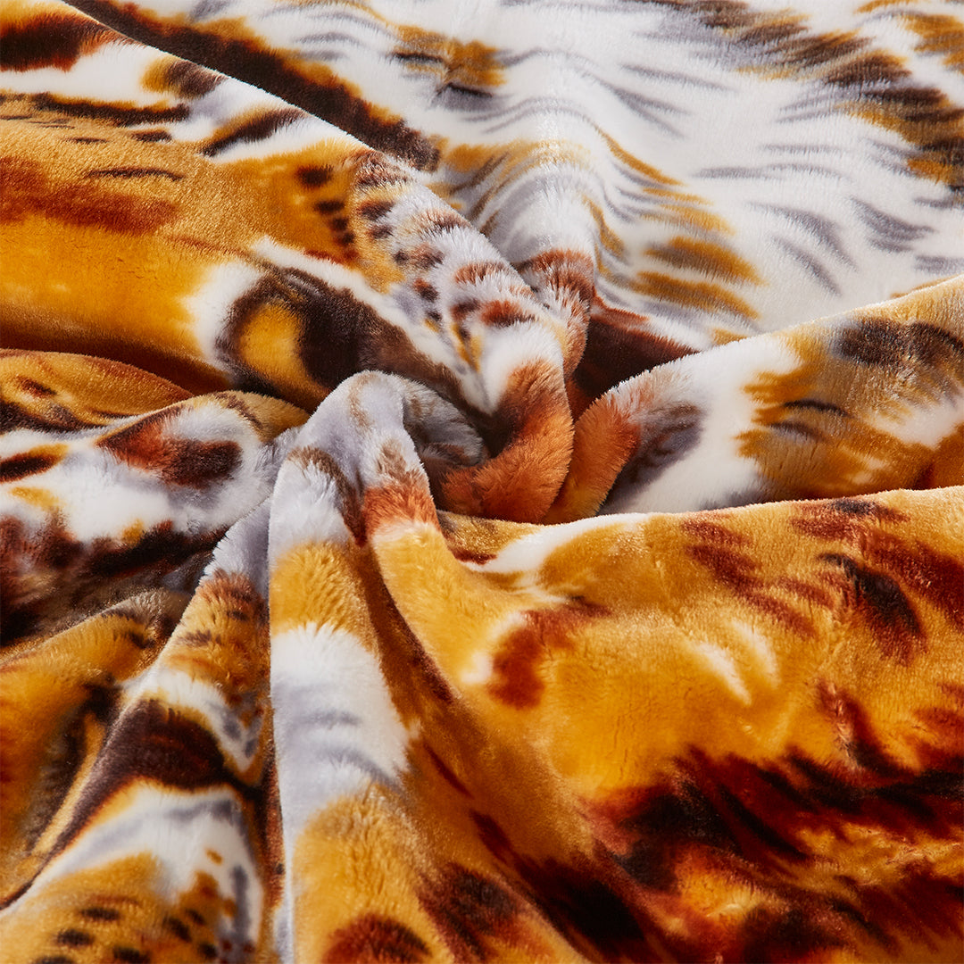 TIGER/DARK BROWN GOLDEN LION 2PLY BLANKET (SOLID CASE PACK 5 BLANKETS PER CASE)