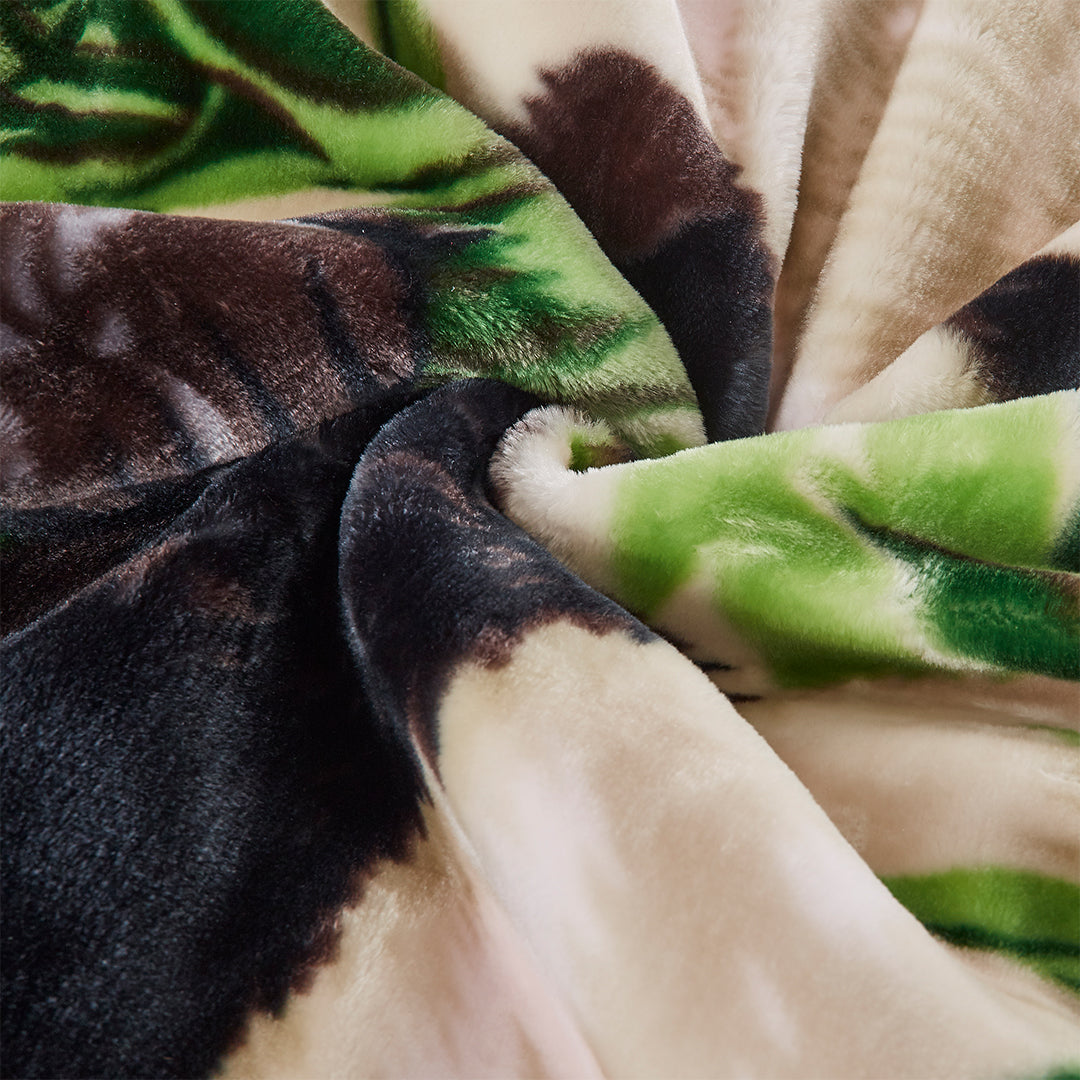 PANDA/DARK BROWN GOLDEN LION 2PLY BLANKET (SOLID CASE PACK 5 BLANKETS PER CASE)