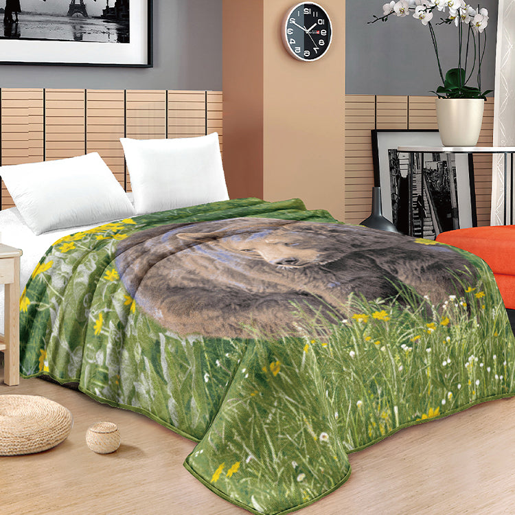 5 Diamond 2Ply Blanket New Designs Animal