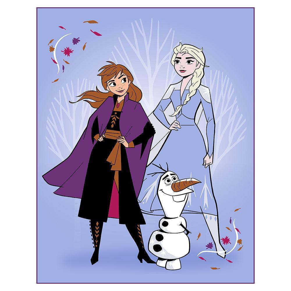 "Adventure" Frozen Twin Disney Rachelle Blanket - Dahdoul Online